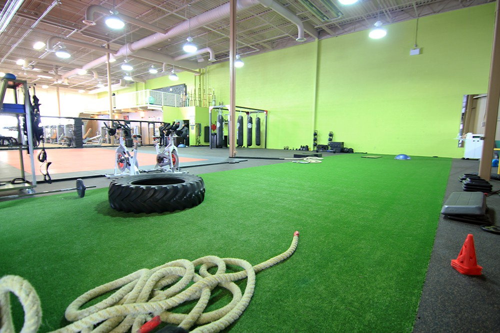 Performance indoor turf project photo 1
