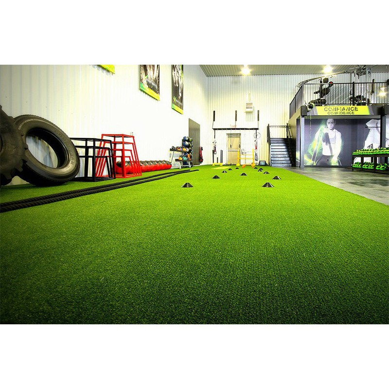 Performance indoor turf project photo 3