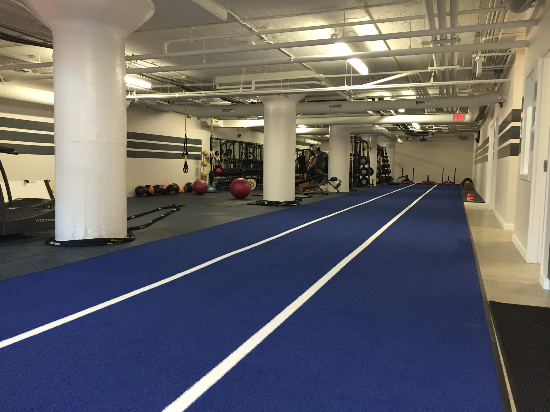 Performance indoor turf project photo 4