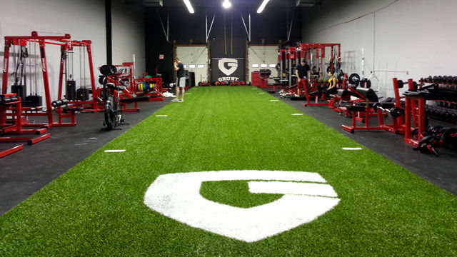 Performance indoor turf project photo 5