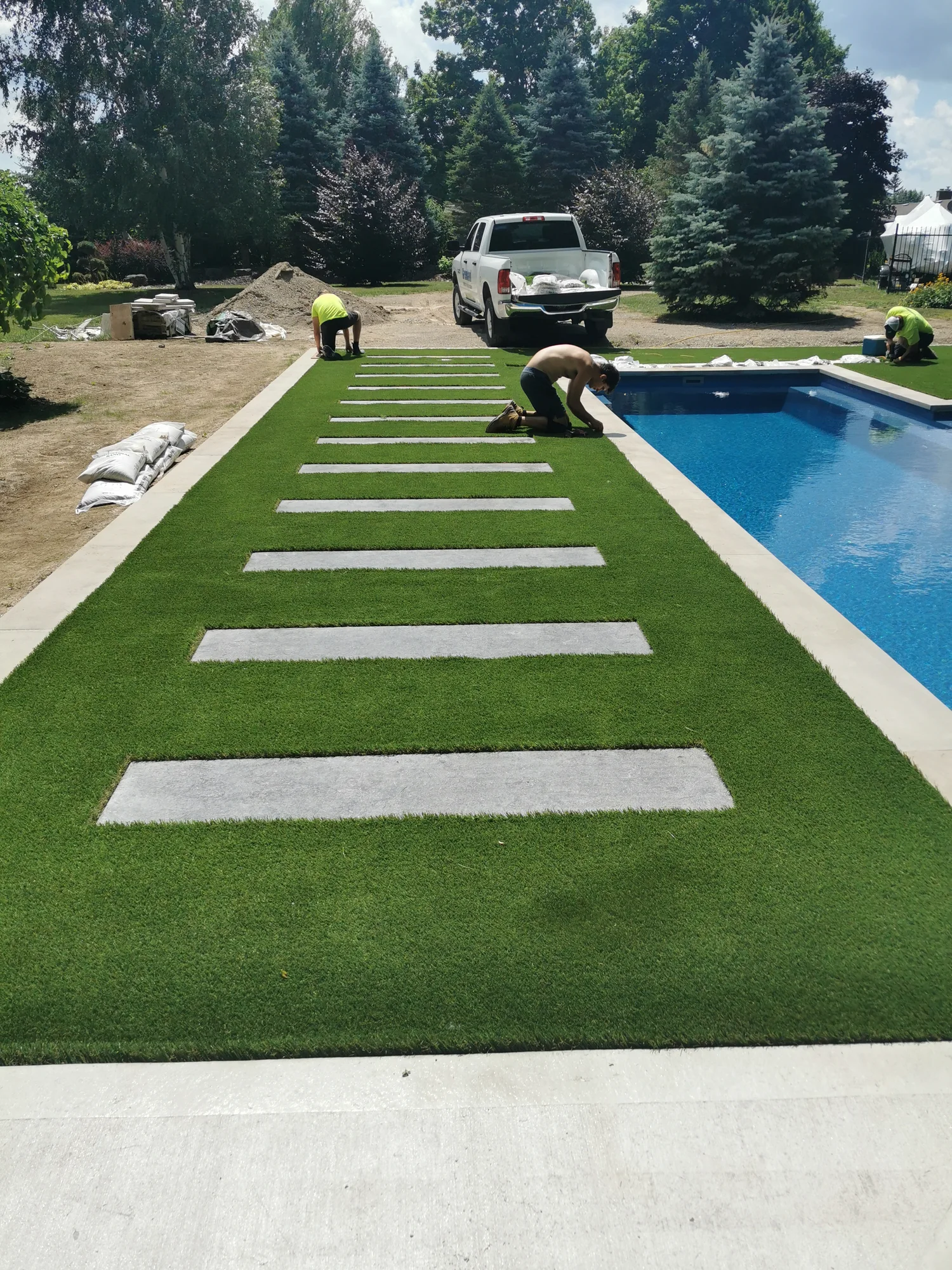 Lawns & outdoor living project photo 10
