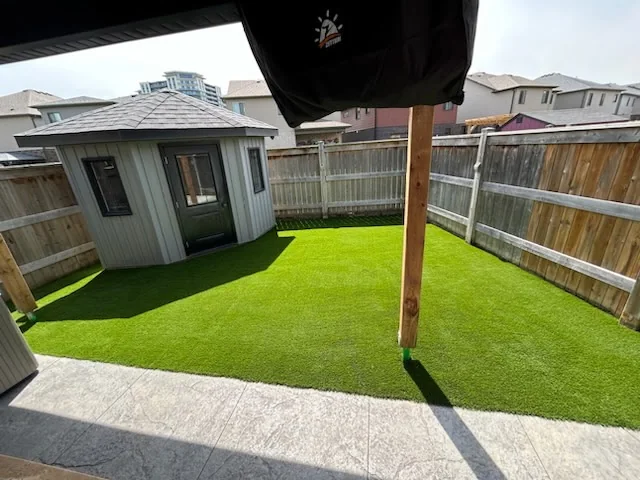 Cleaner pet spaces project photo 4