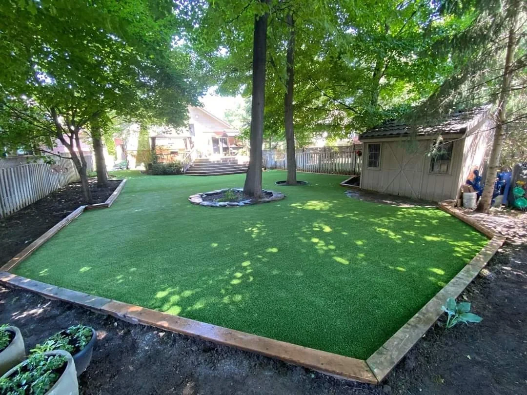 Cleaner pet spaces project photo 5