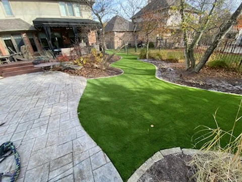 Cleaner pet spaces project photo 7