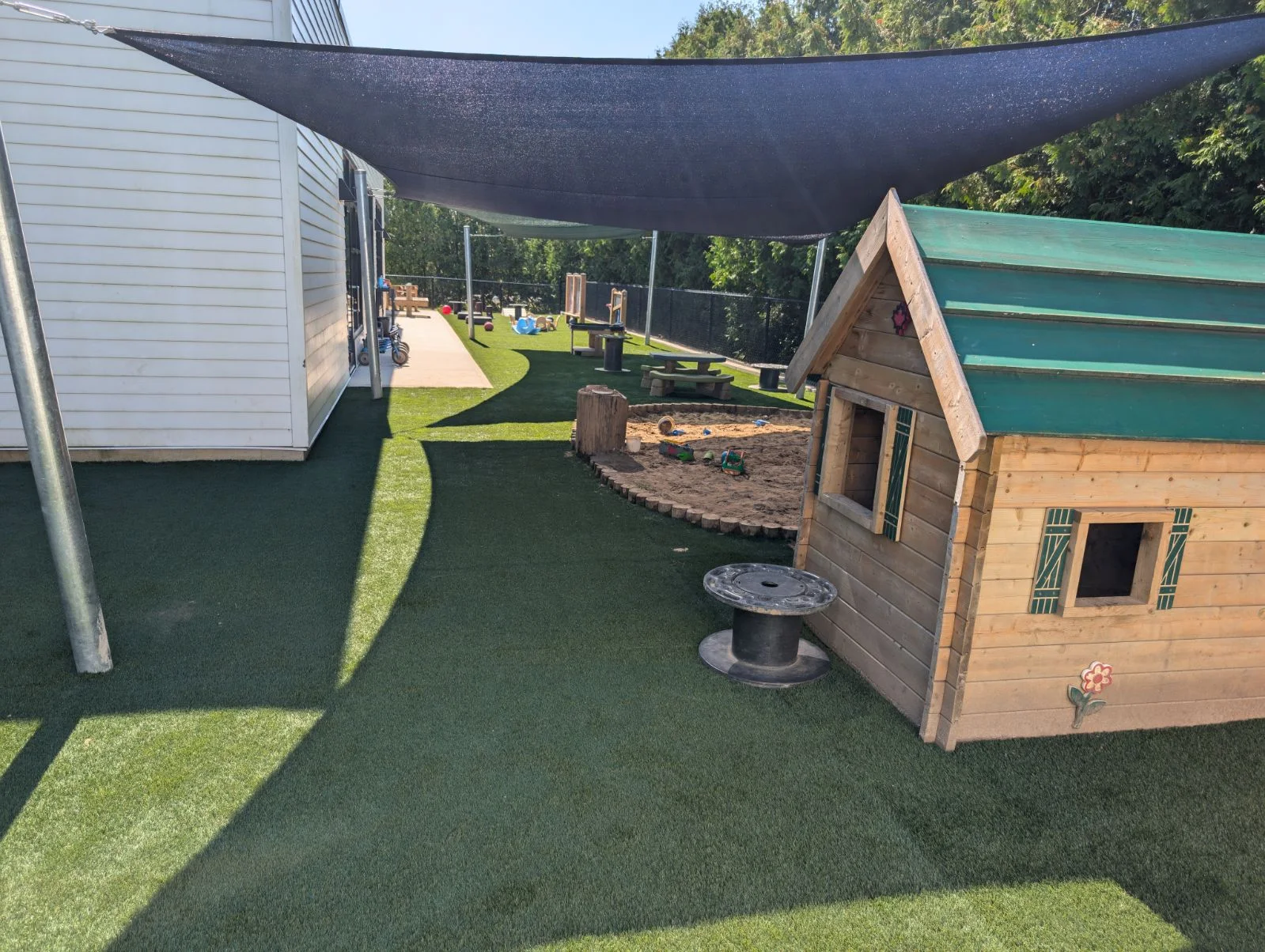 Cleaner pet spaces project photo 10