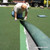 XGS Turf Adhesive (1 gallon Jug) - Image 3
