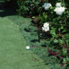 Focus Lighting PGL03 (12 inches) - Image 4
