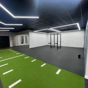 Sled Turf with Striping (1 sq. foot)